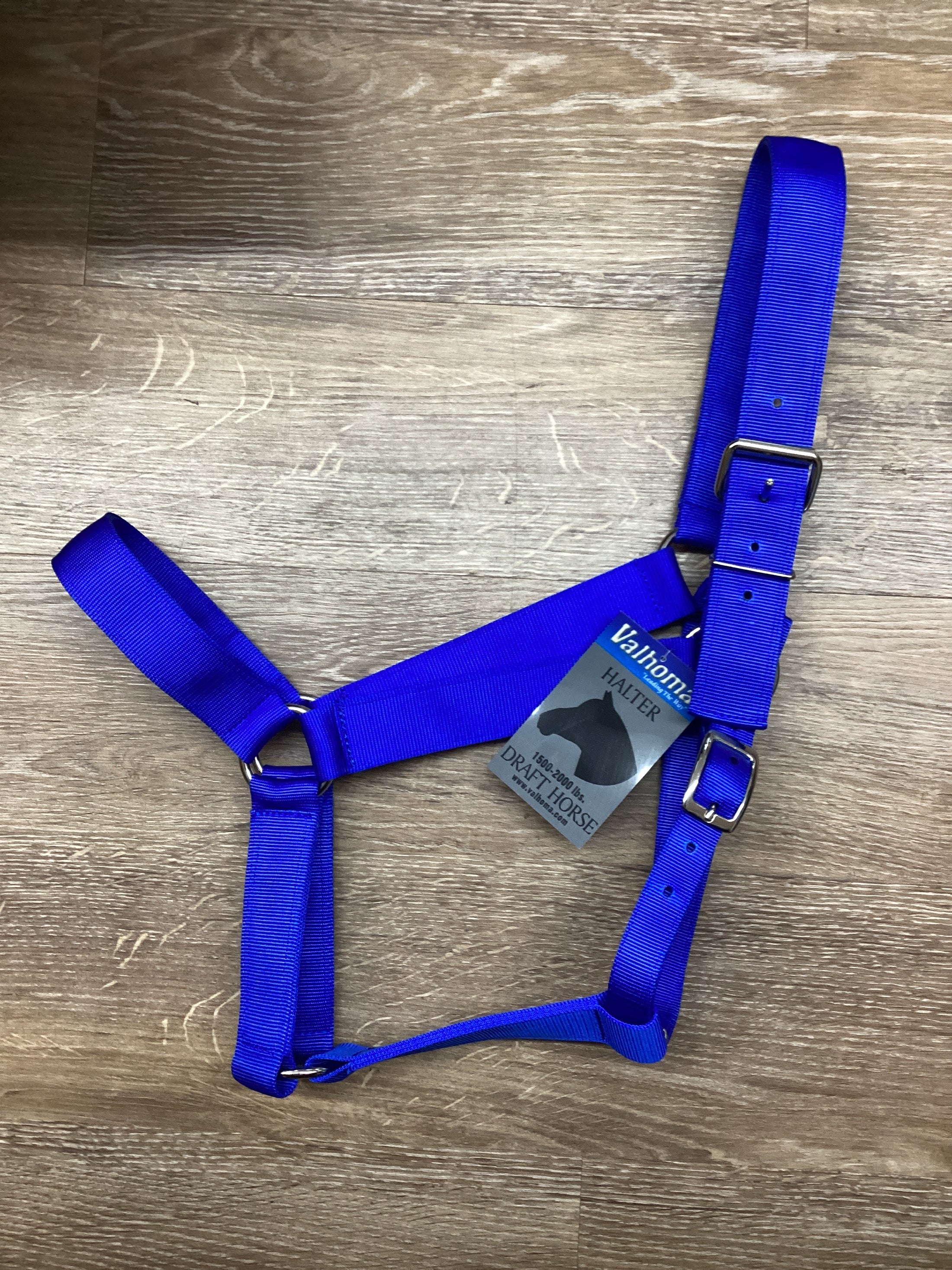 DRAFT HALTER, ROYAL VAL